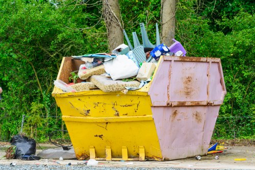 Image depicting garden clearance process