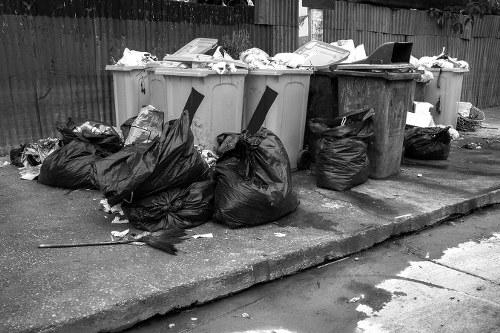 Professional garden clearance team working in Bermondsey garden