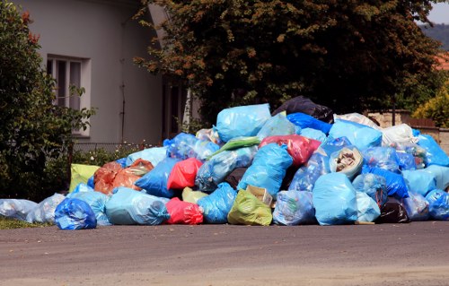 Professionals clearing garden waste in Hither Green