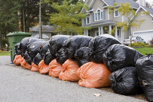 Debris removal process in Maplewood garden