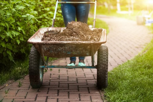 Professional team performing garden clearance