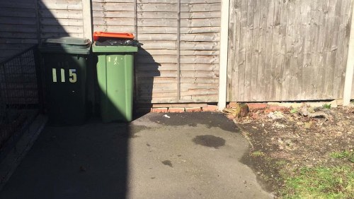 Tools and equipment used for garden clearance in Denmark Hill.