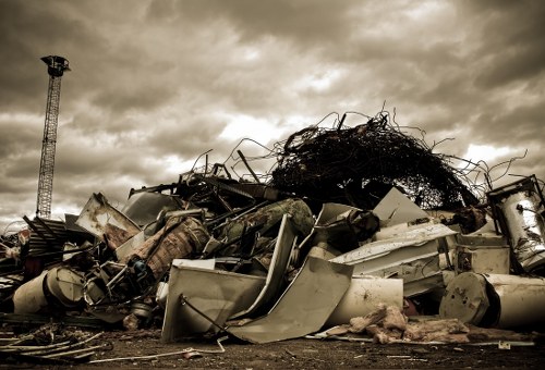 Professional clearing plants and debris in Crofton Park