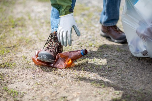 Professional clearing garden debris